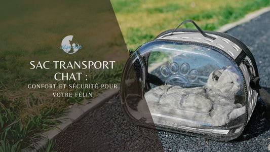 sac-transport-chat