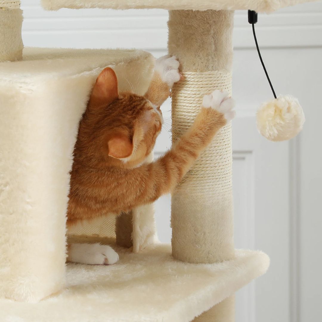 arbre-a-chat-balle