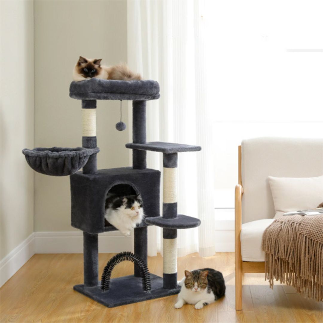 arbre-a-chat-brosse