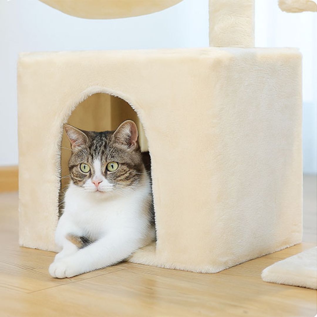 arbre-a-chat-cachette