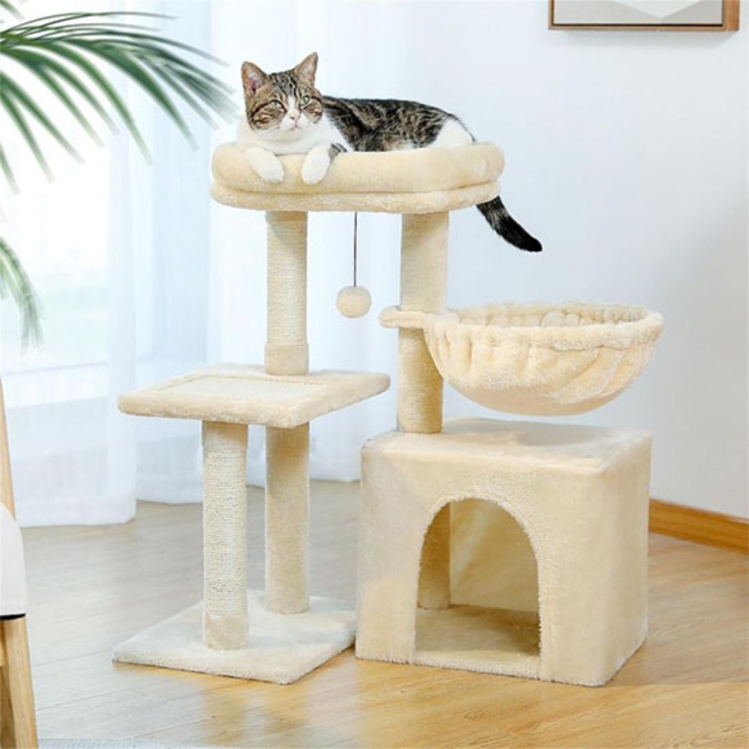 arbre-a-chat-creme