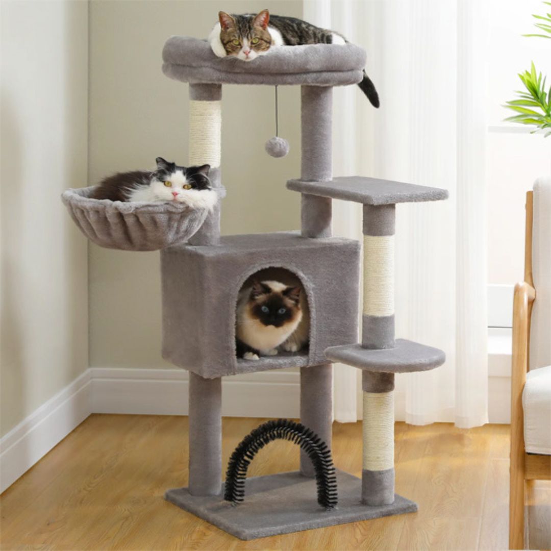 arbre-a-chat-gris