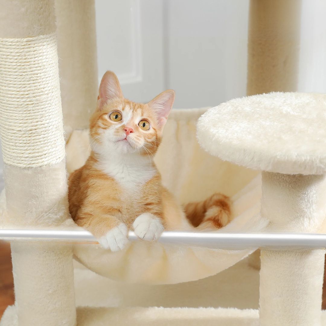 arbre-a-chat-hamac