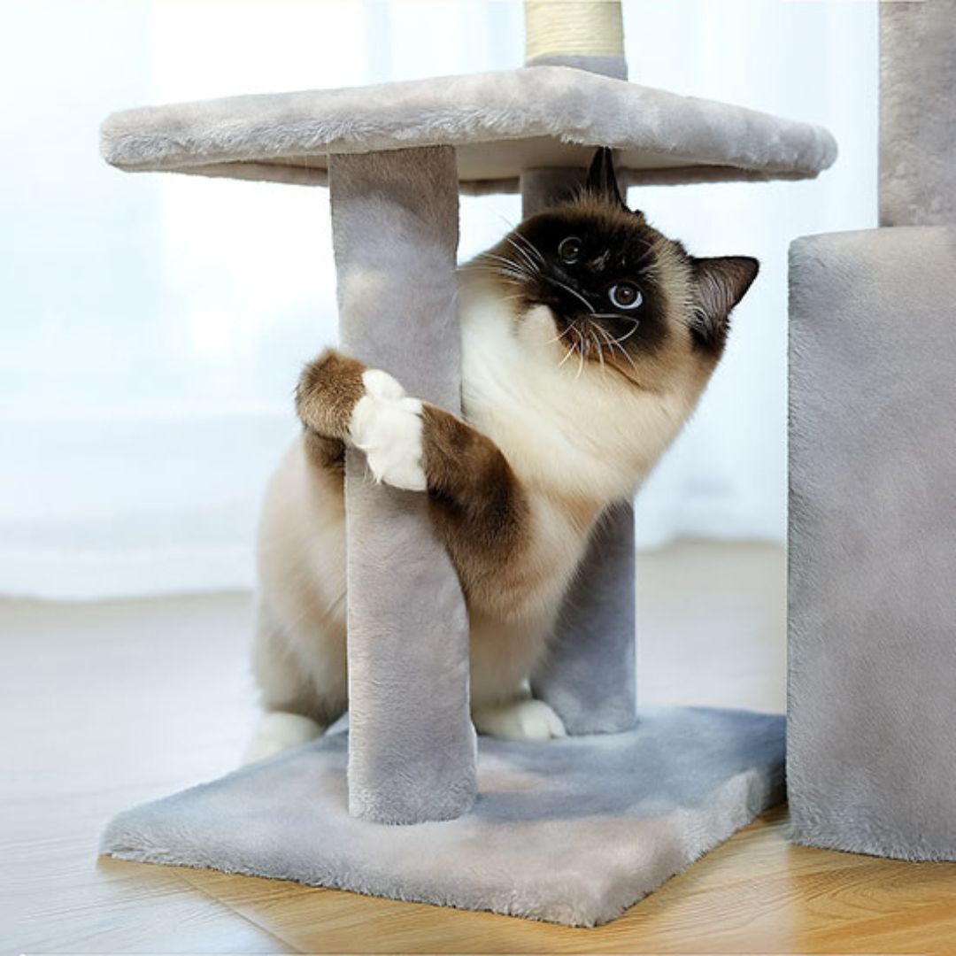 arbre-a-chat-poteau