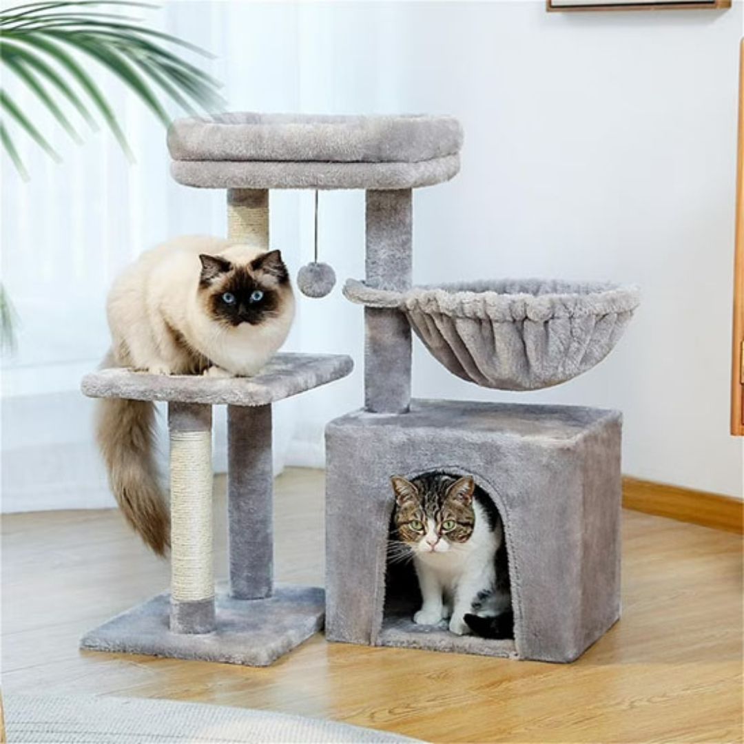 arbre-a-chat-praticite
