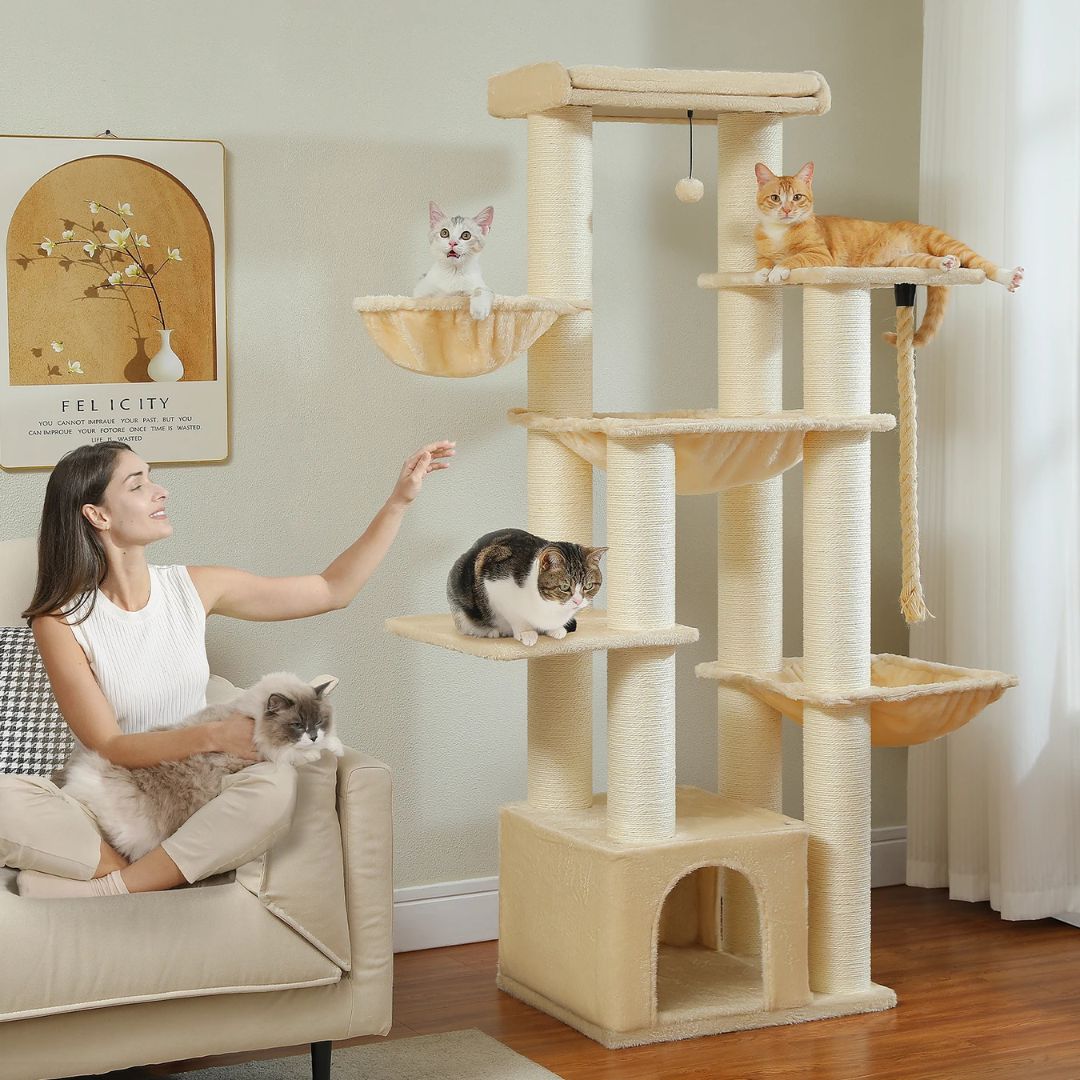 arbre-a-chat-salon