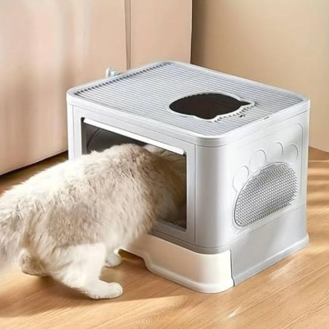 bac-a-litiere-chat-entree