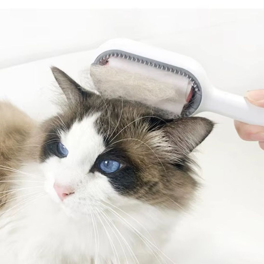 brosse-pour-chat-lingette