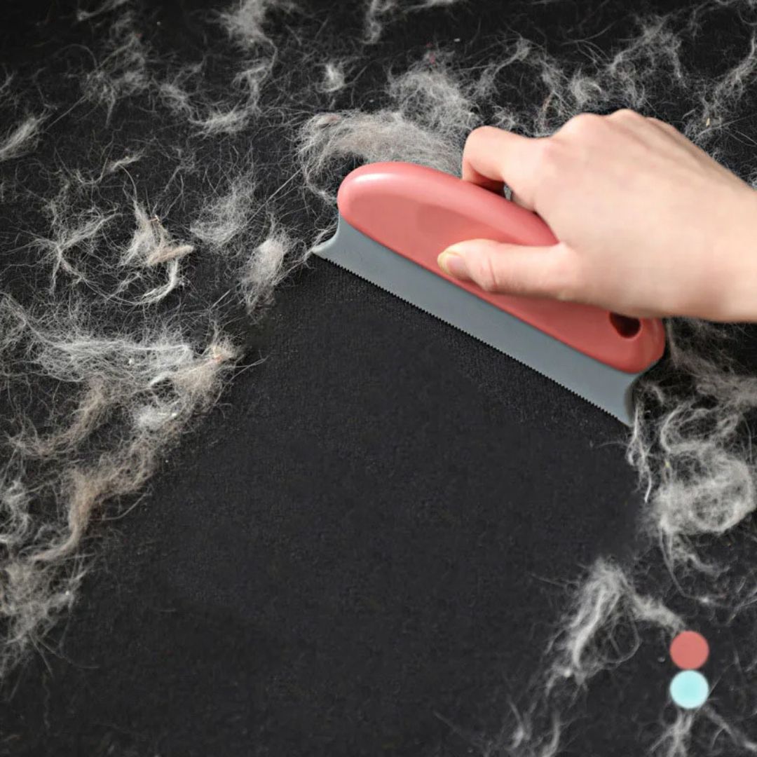 brosse-pour-chat-passage