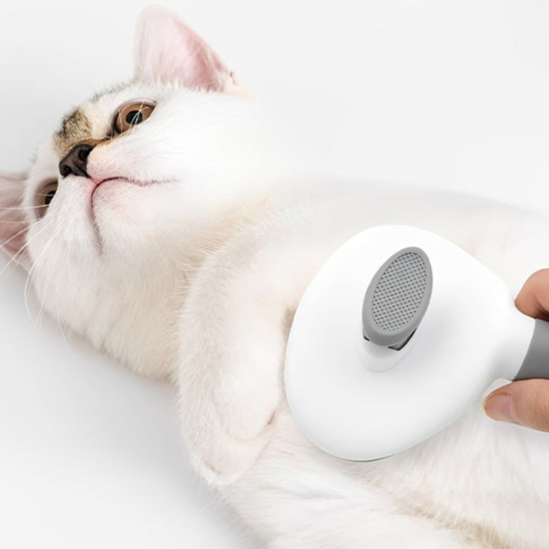 brosse-pour-chat-ventre