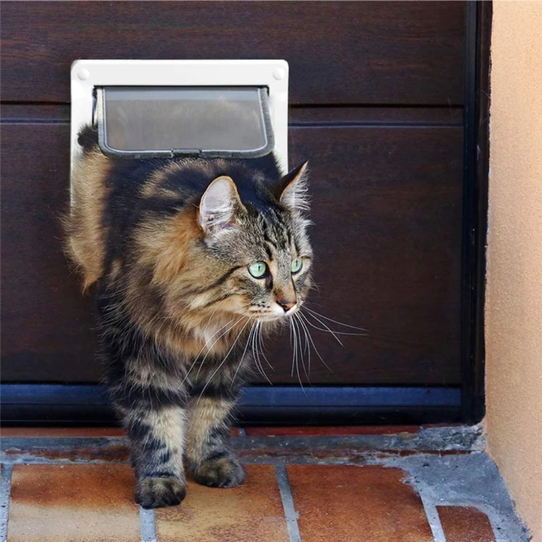 chatière-chat