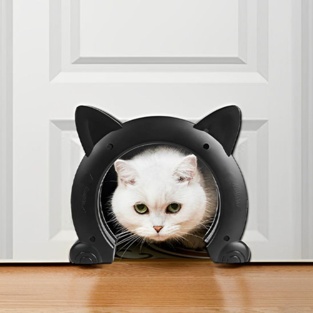 chatiere-chat