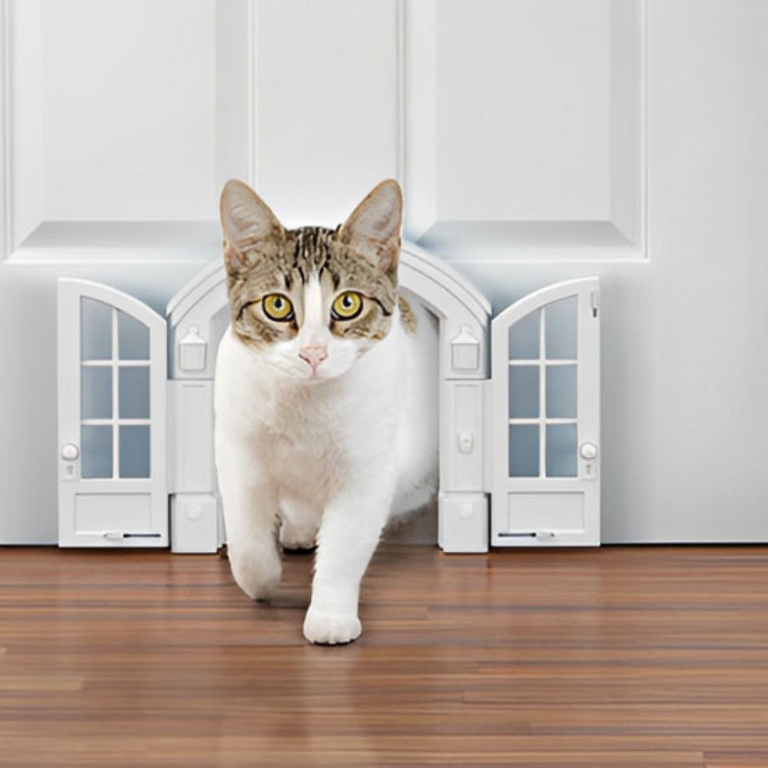 chatiere-pour-chat-blanche