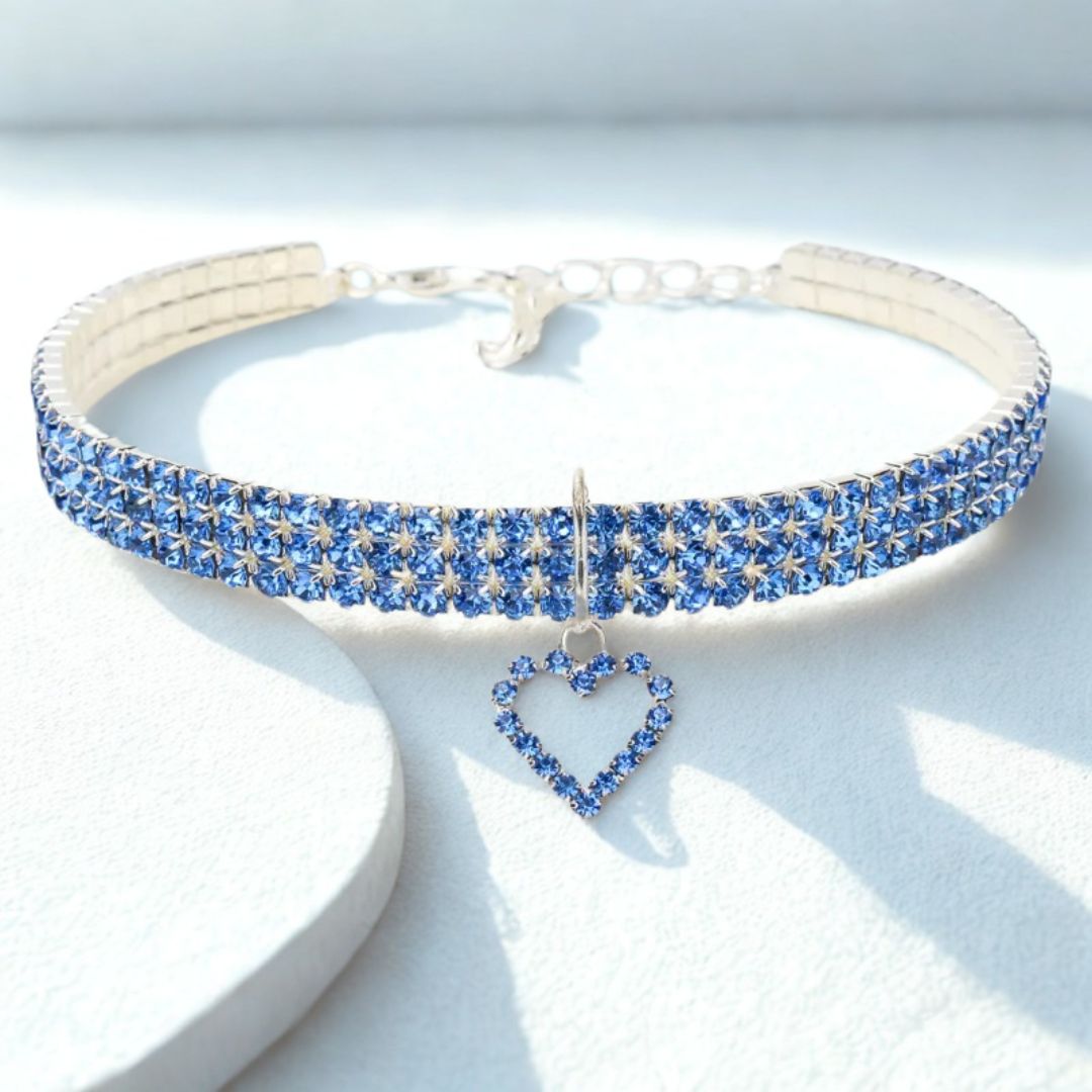 collier-chat-bleu