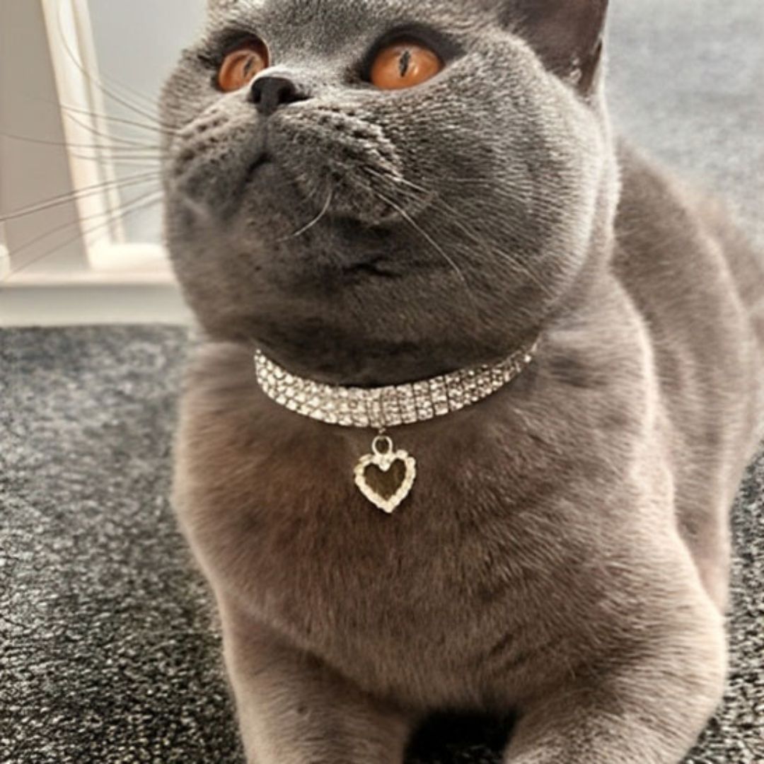 collier-chat-brillant