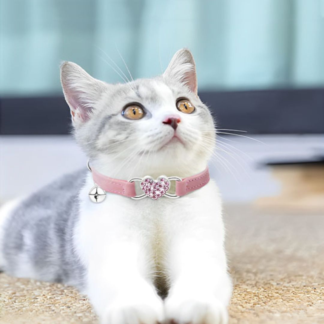 collier-chat-rose