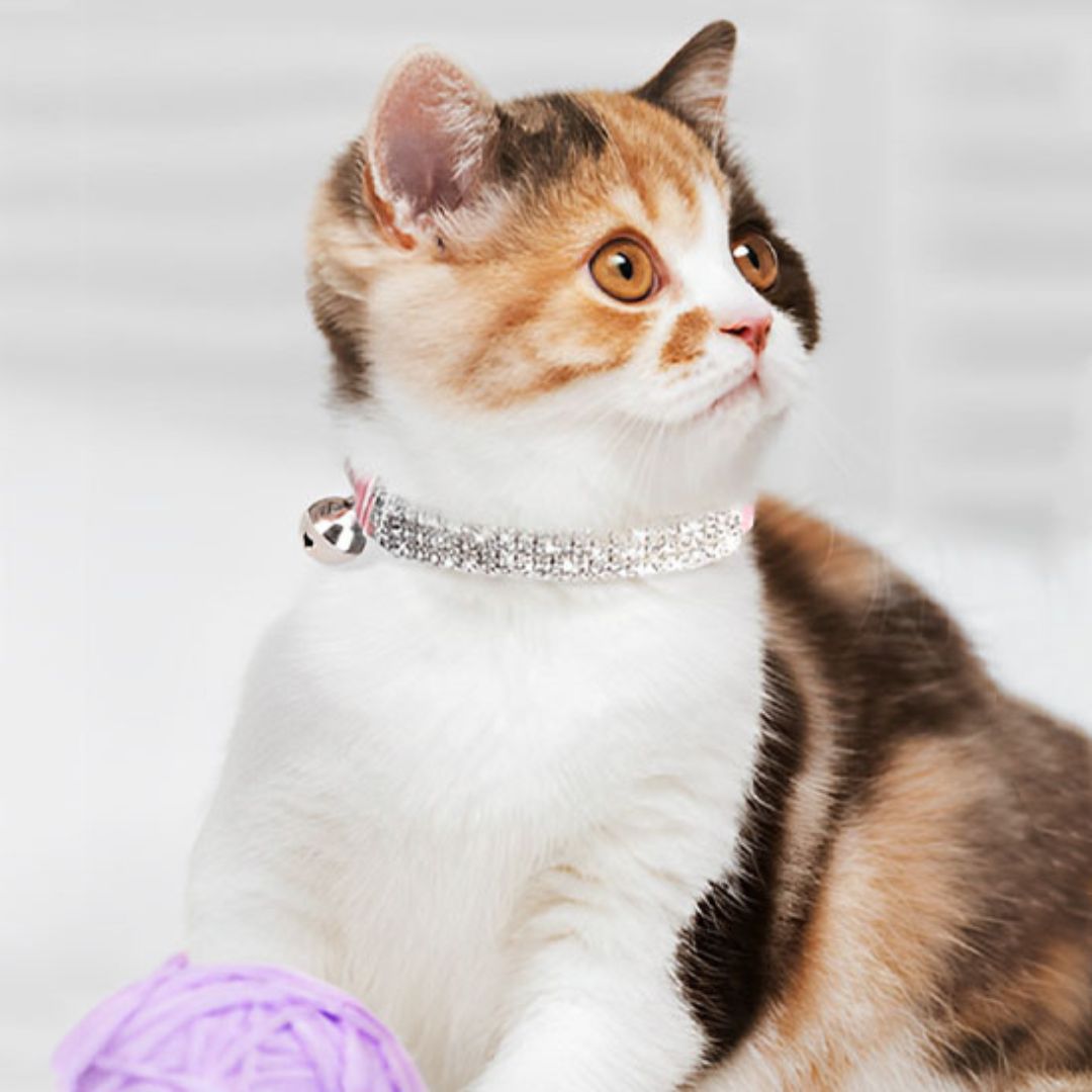 collier-chat-rose