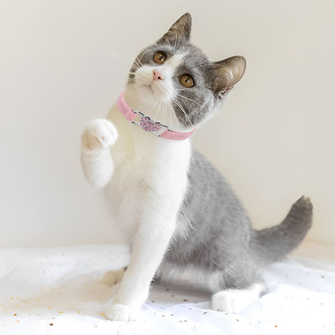 collier-chat-style