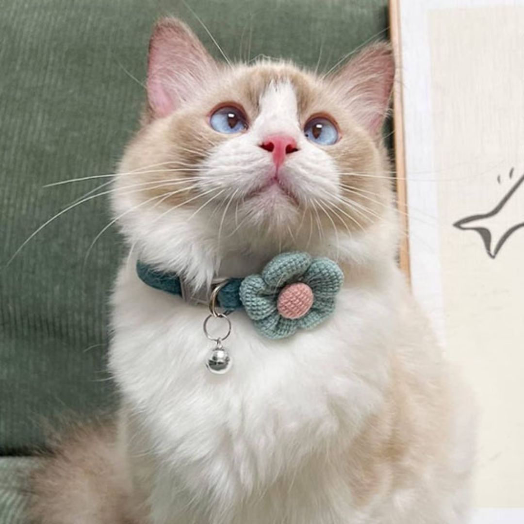 Collier chat | PurrFlower™