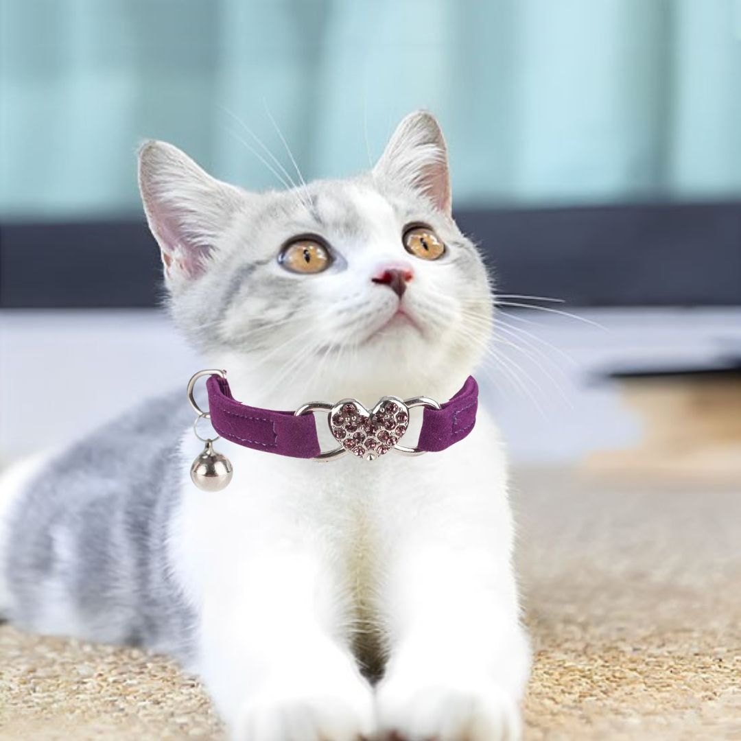 collier-chat-violet