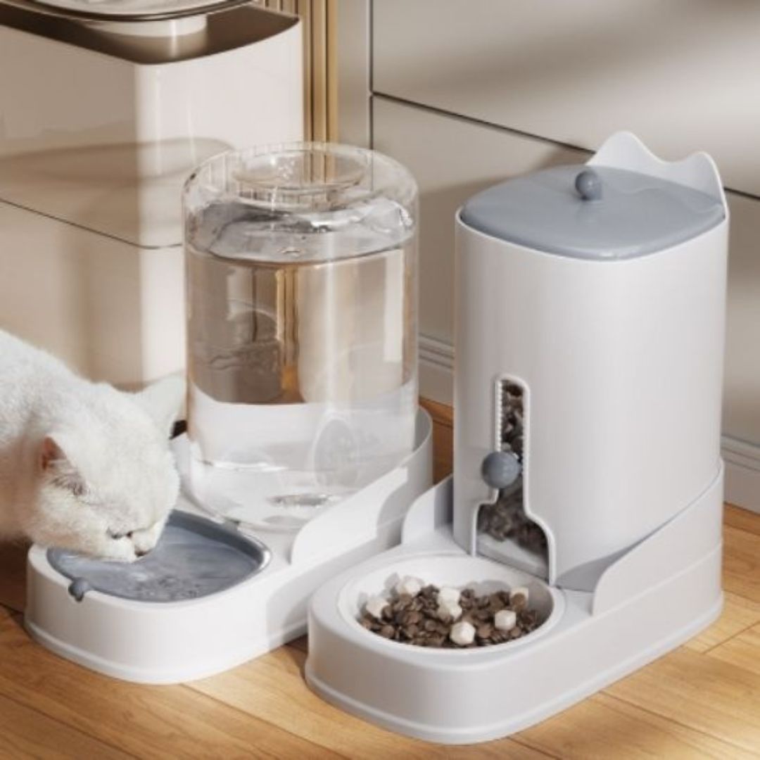 distributeur-de-croquettes-pour-chat-boire