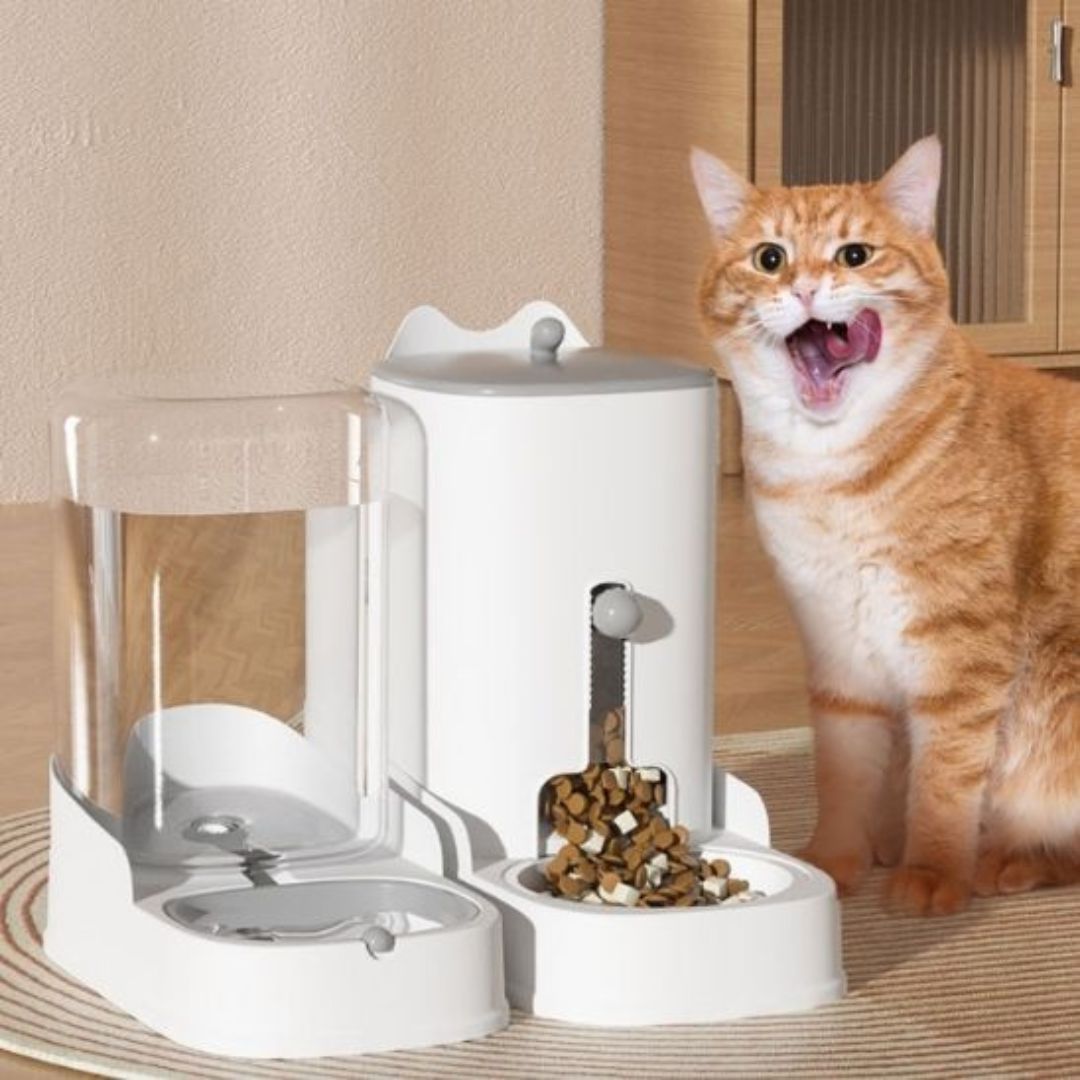 distributeur-de-croquettes-pour-chat-duo