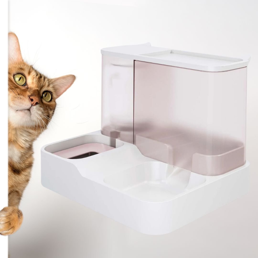 distributeur-de-croquettes-pour-chat-par-gravite