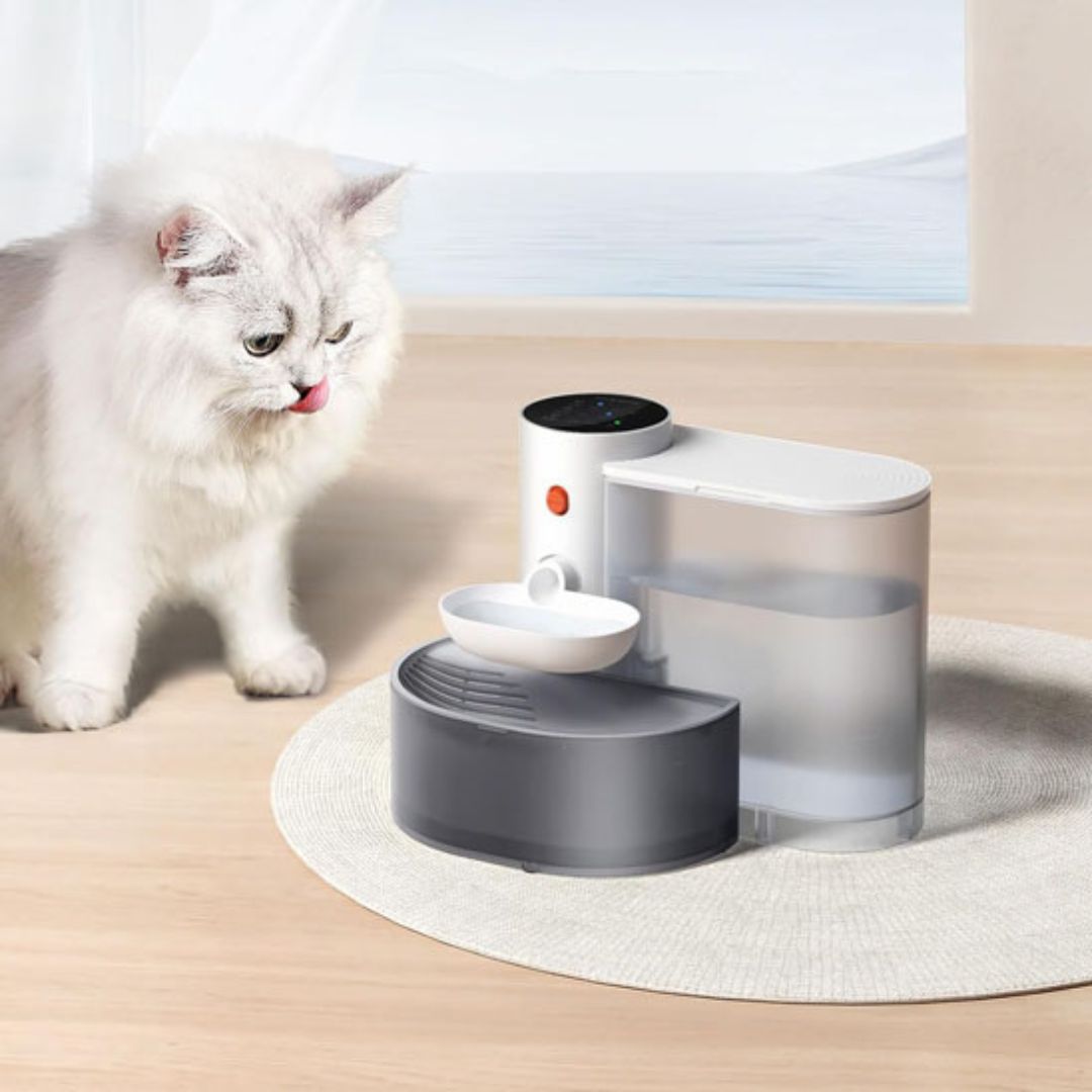 fontaine-a-eau-chat-attirant