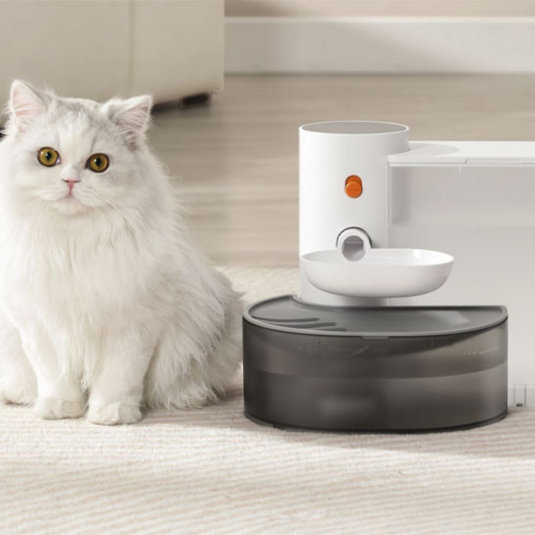 fontaine-a-eau-chat-blanc