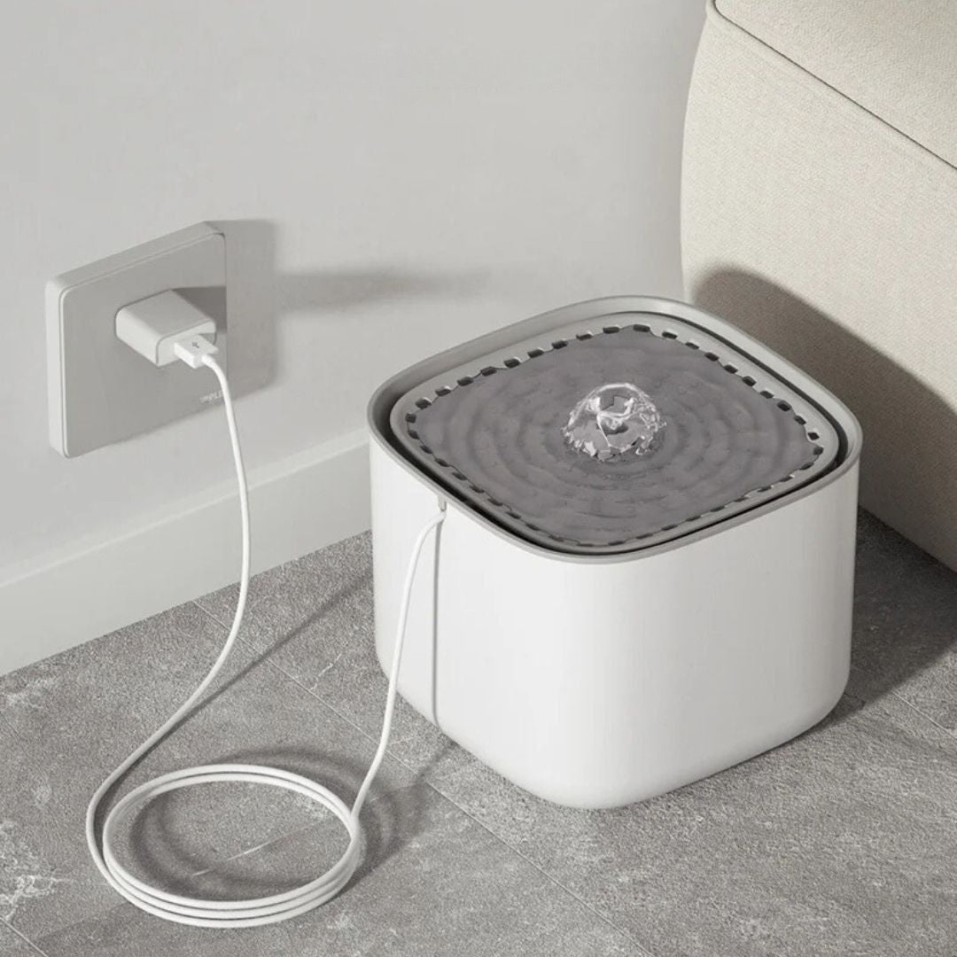 Fontaine a eau chat | PurrOasis™