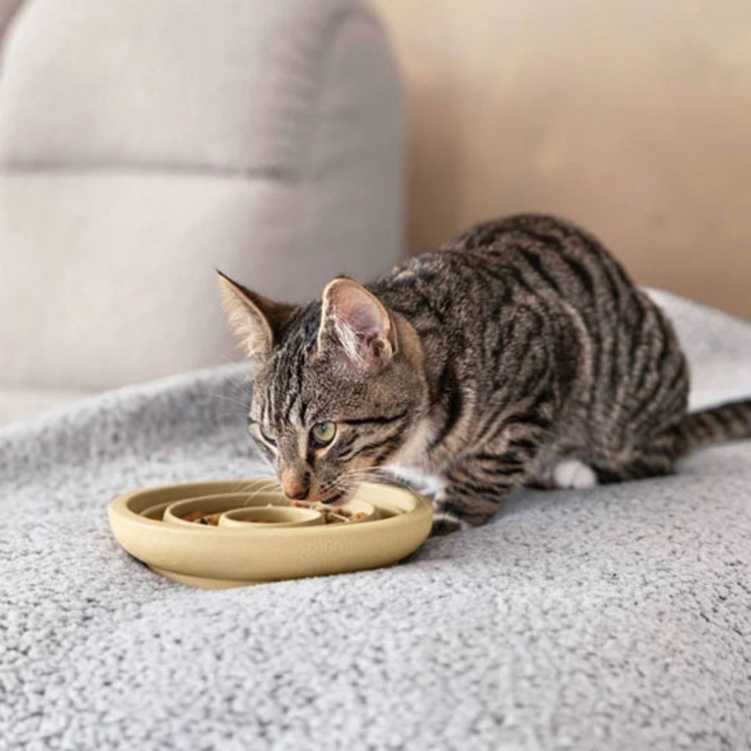 gamelle-anti-glouton-chat-alimentation-lente