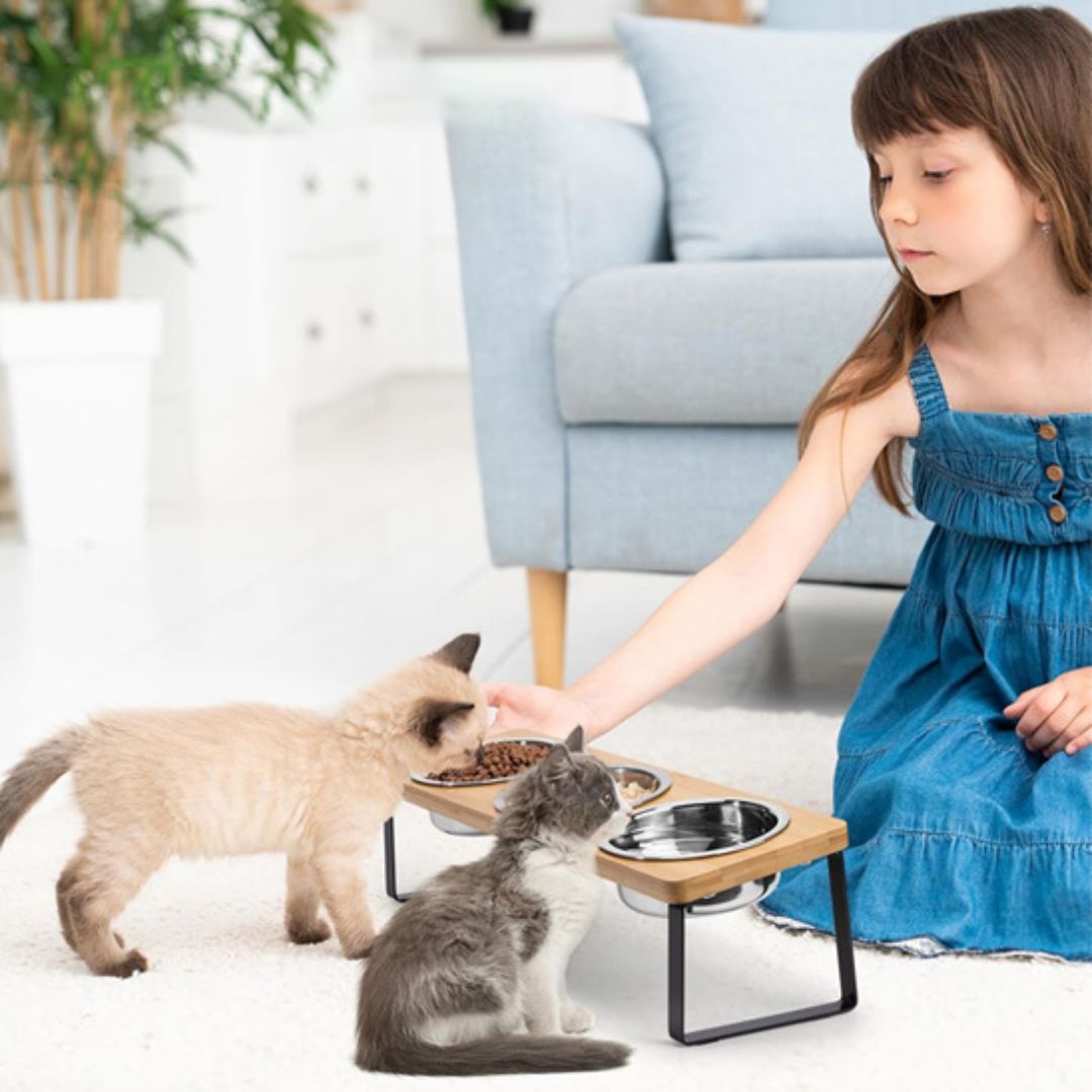 gamelle-chat-chaton
