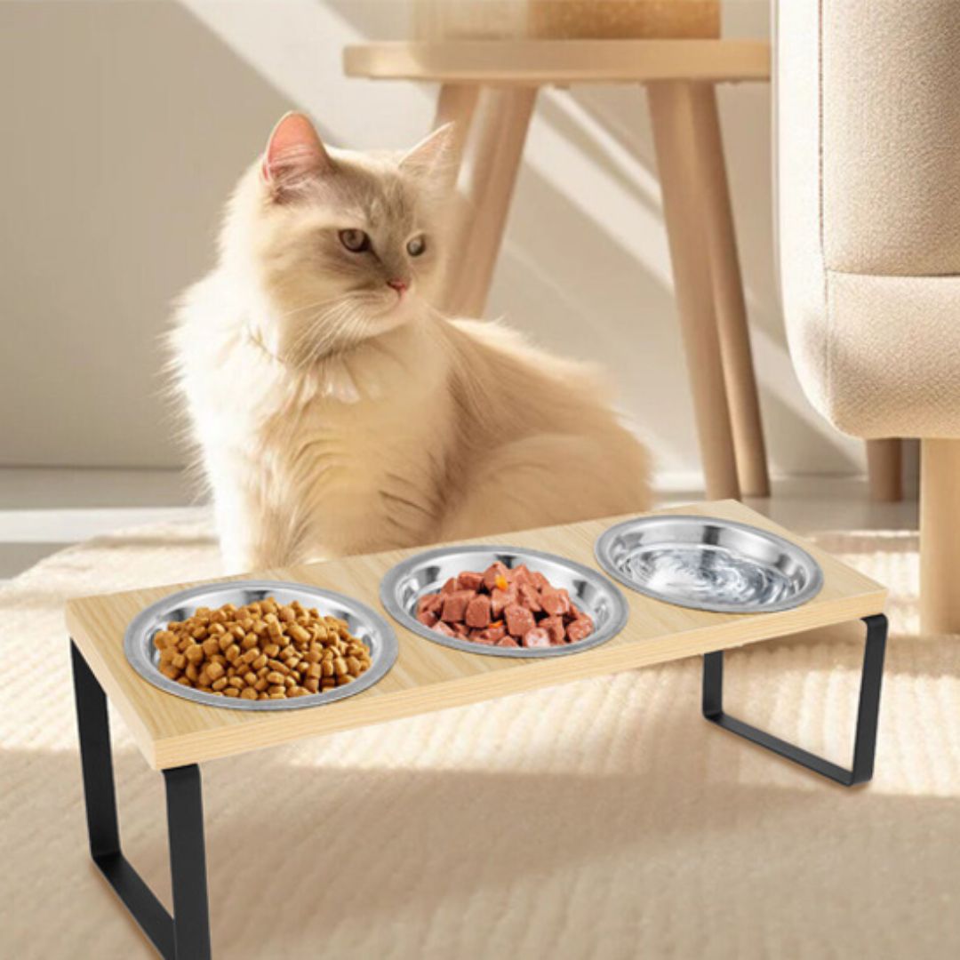 gamelle-chat-demo