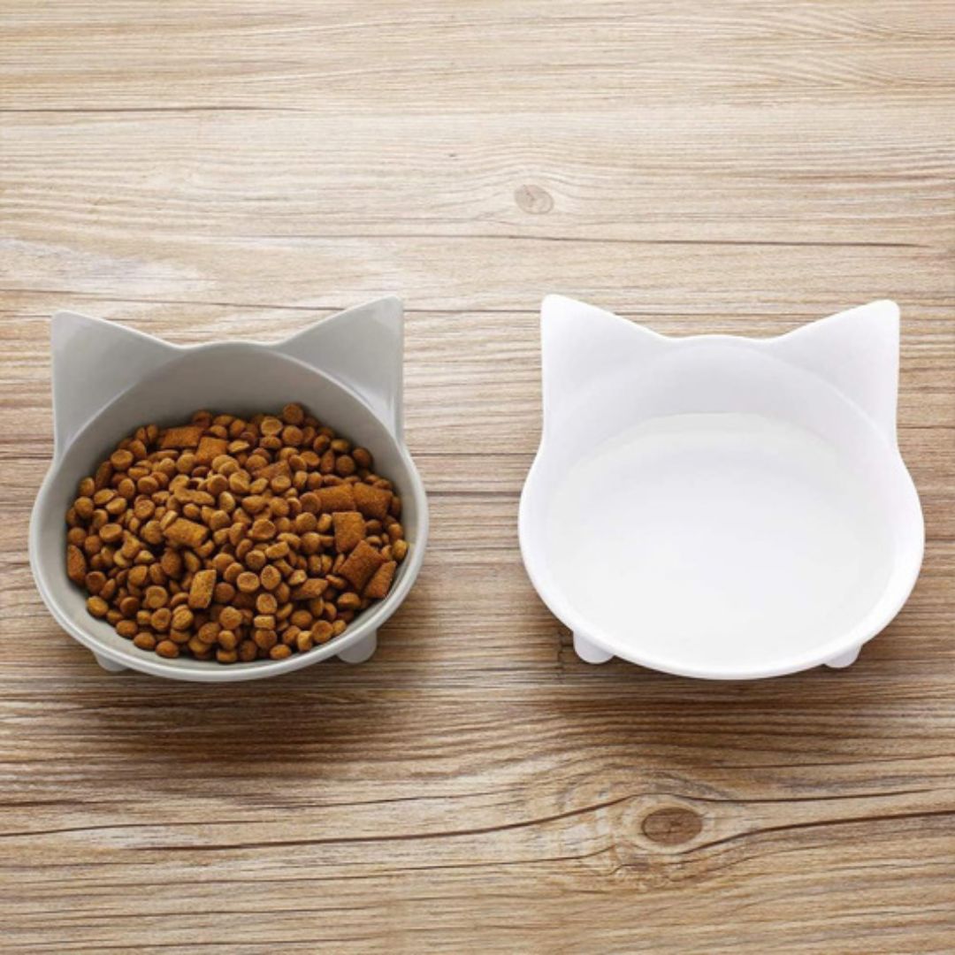 gamelle-chat-duo