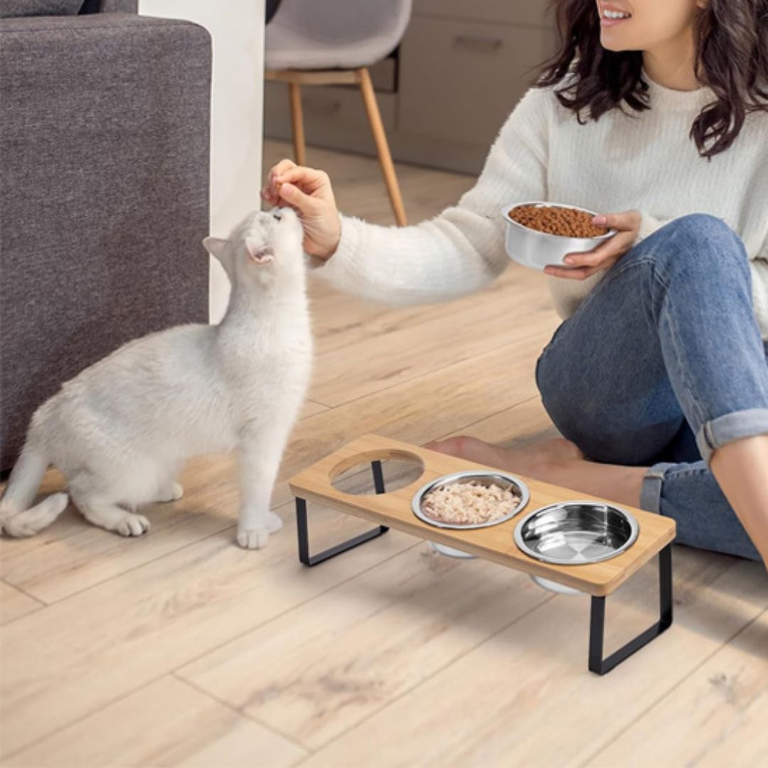 gamelle-chat-femme