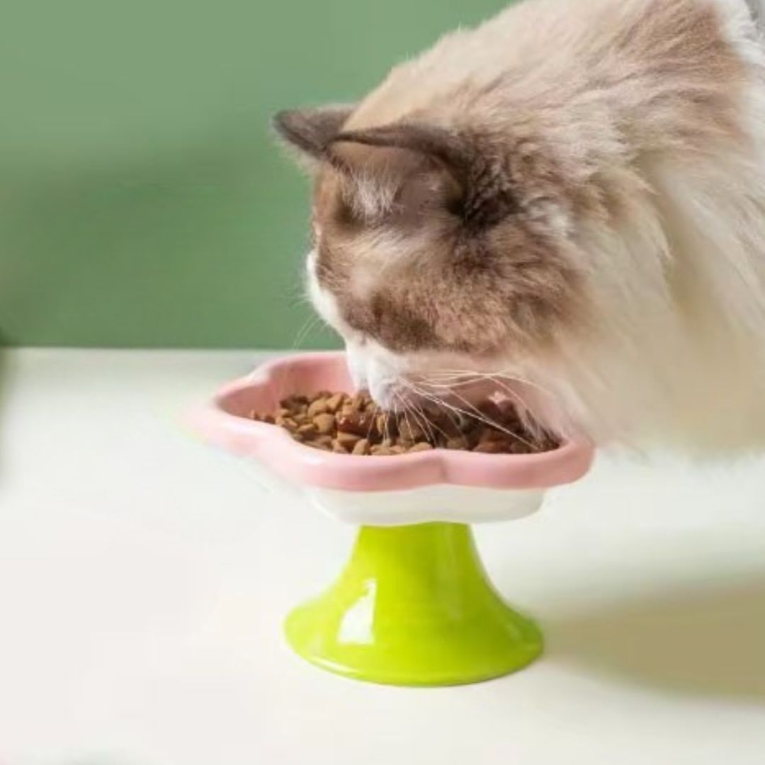 gamelle-chat-rose