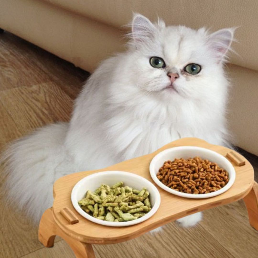 gamelle-chat-sureleve