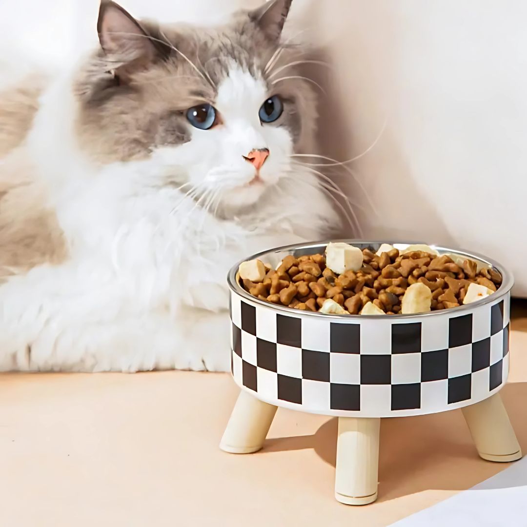 gamelle-pour-chat-carreaux