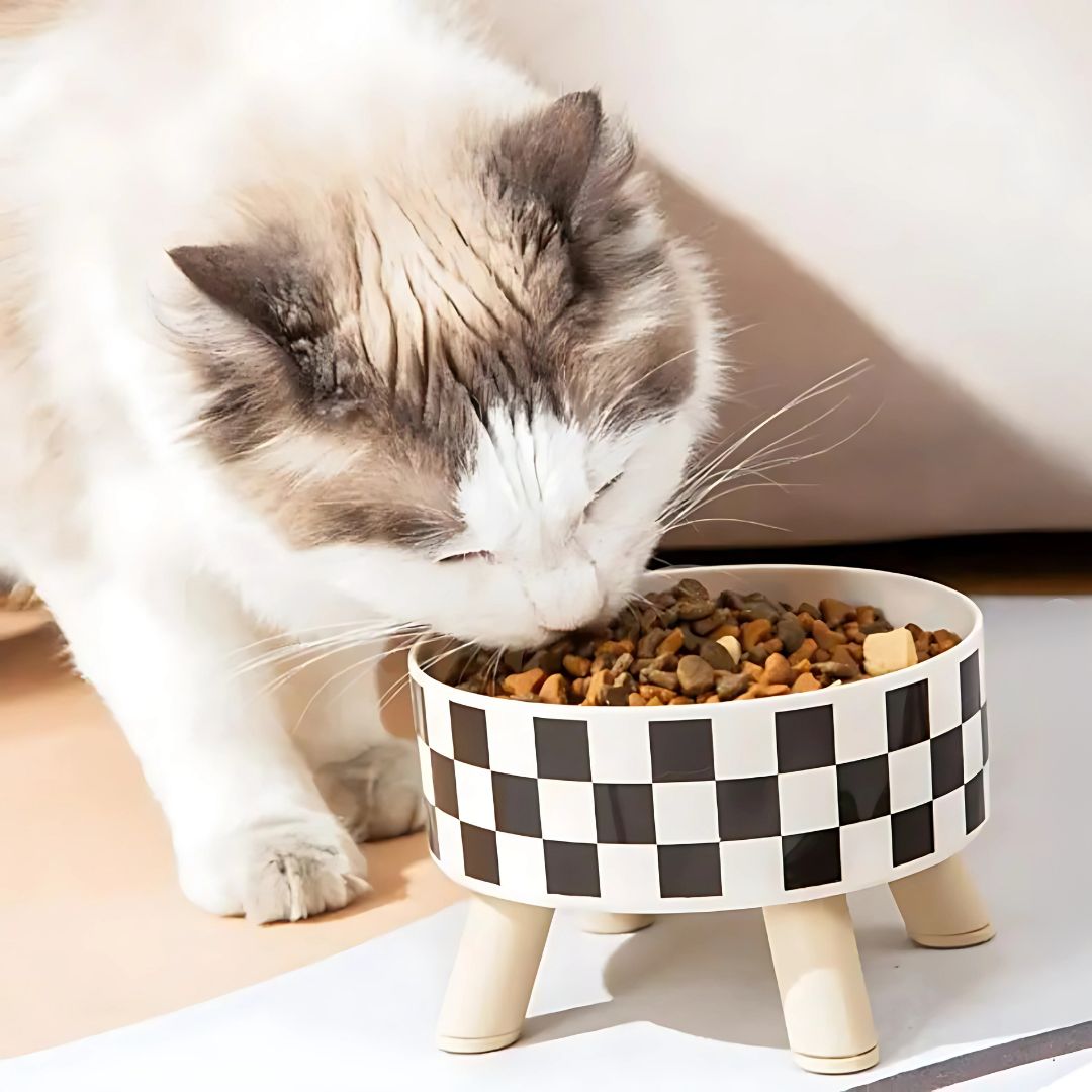 gamelle-pour-chat-nourriture