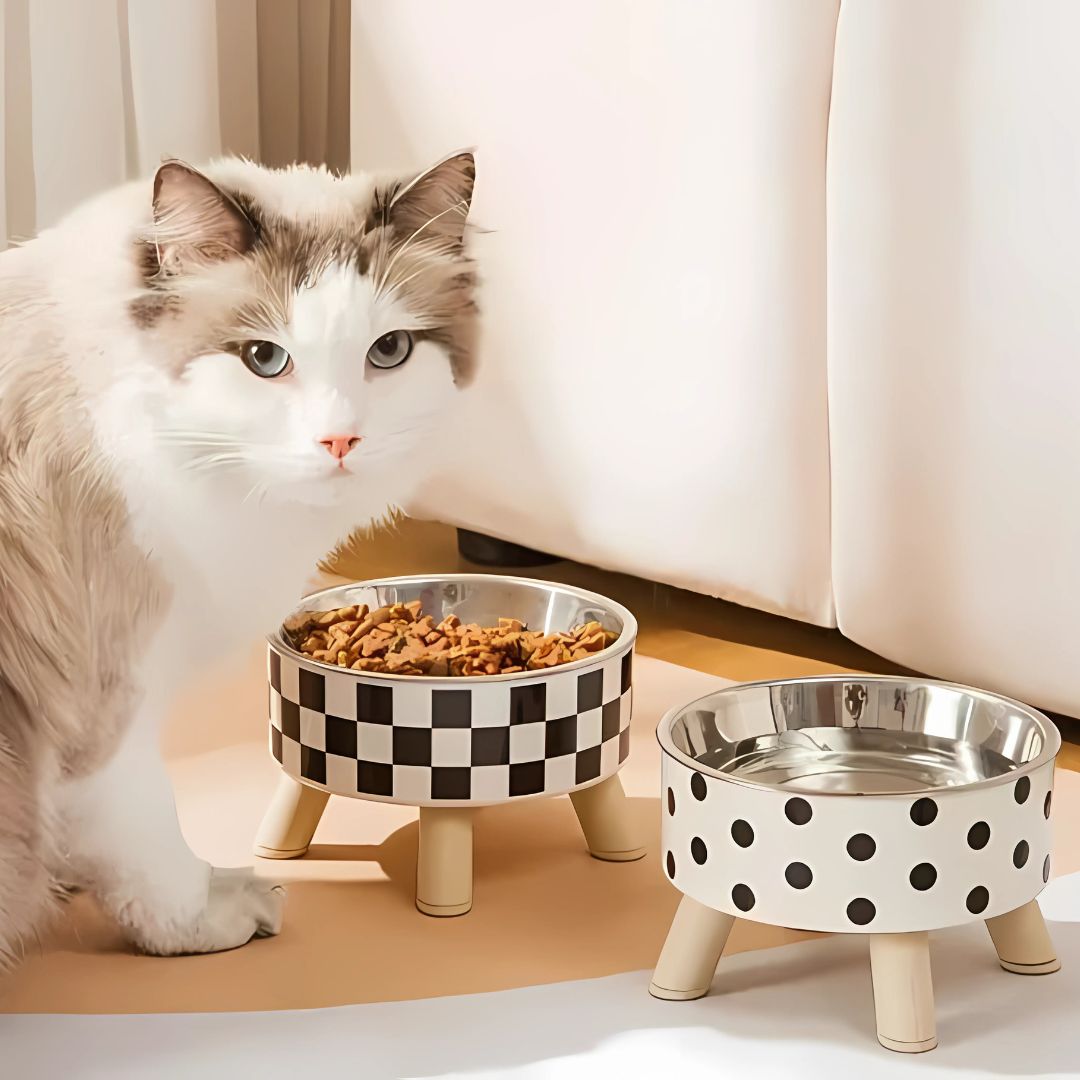 gamelle-pour-chat-regard