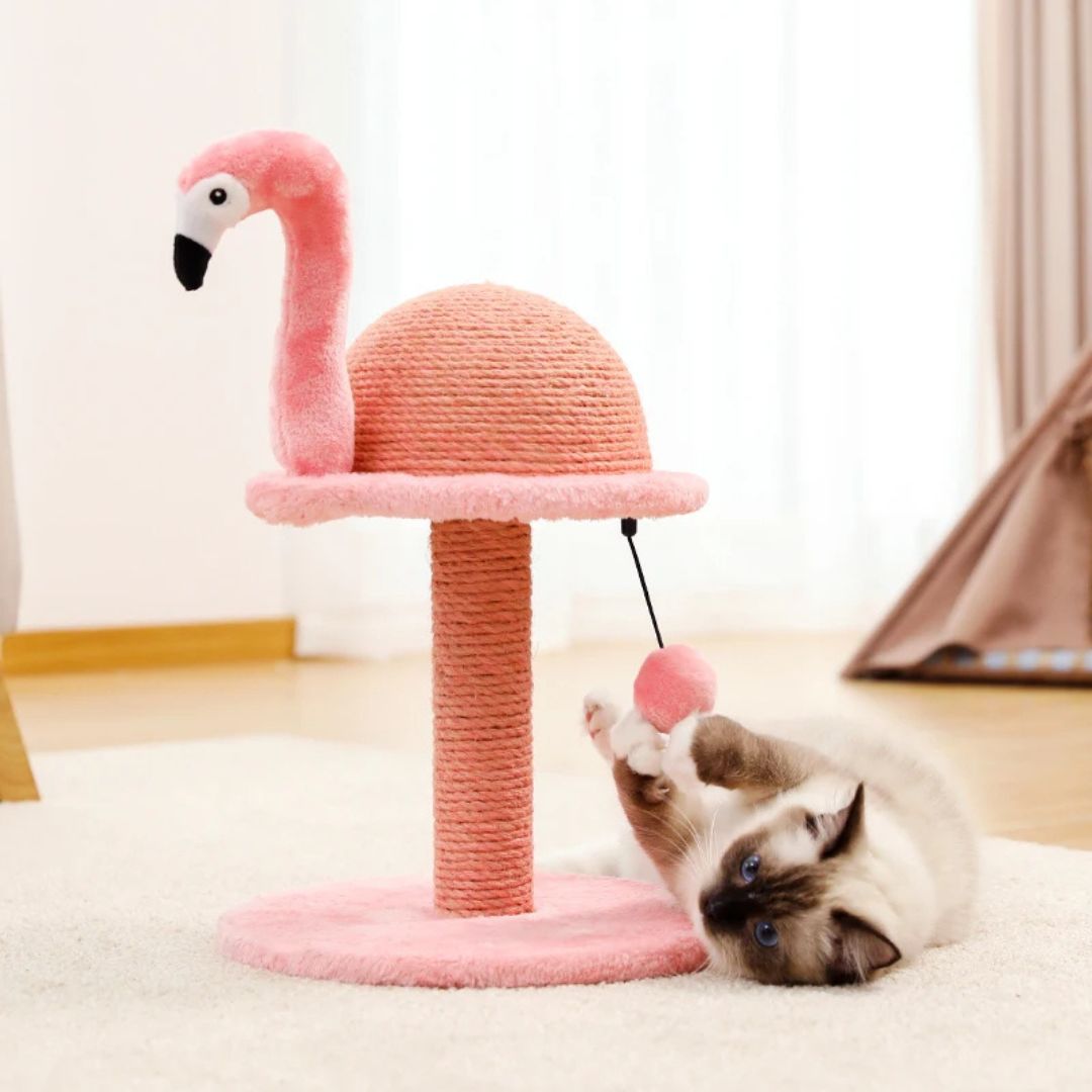 griffoir-chat-balle-suspendue