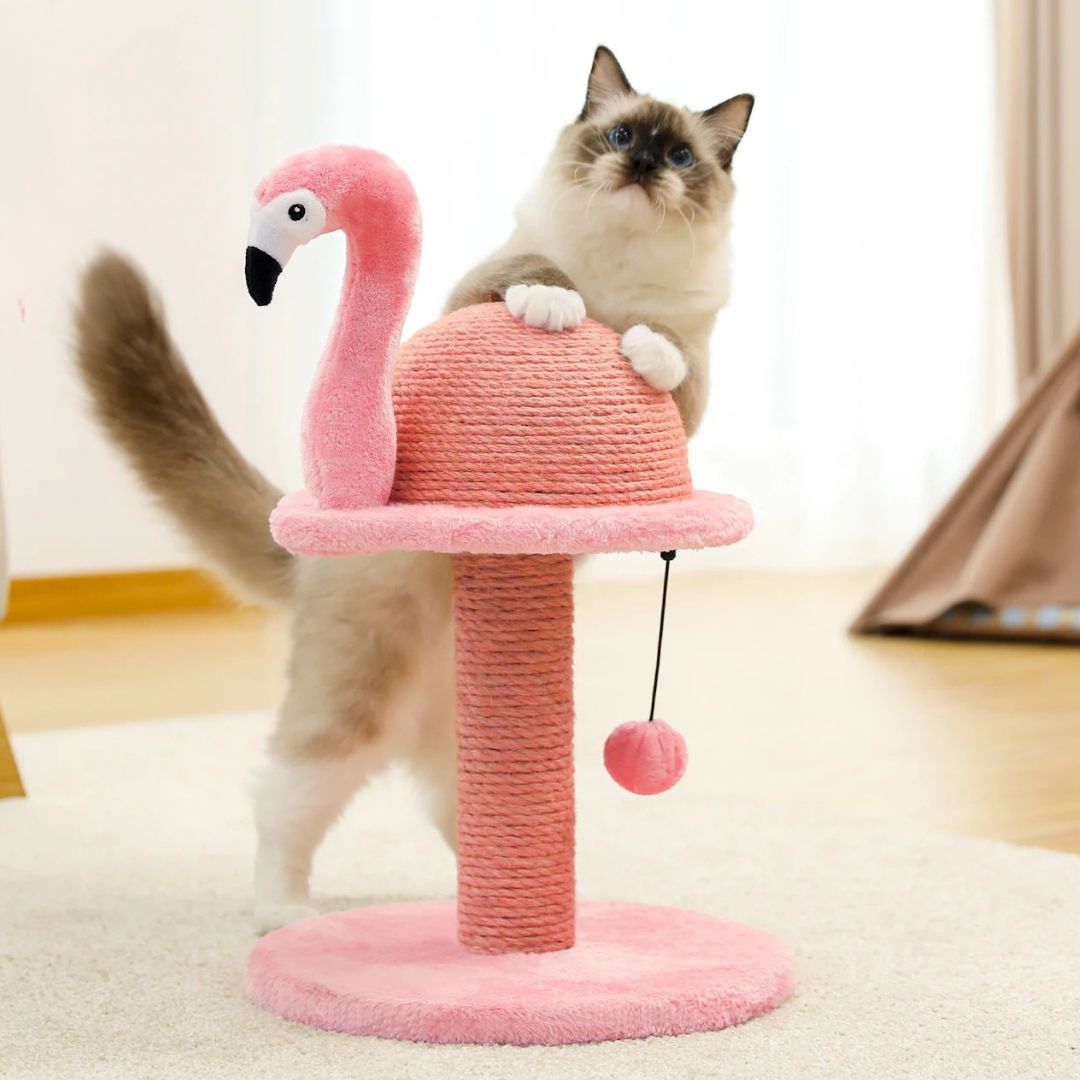 griffoir-chat-debout