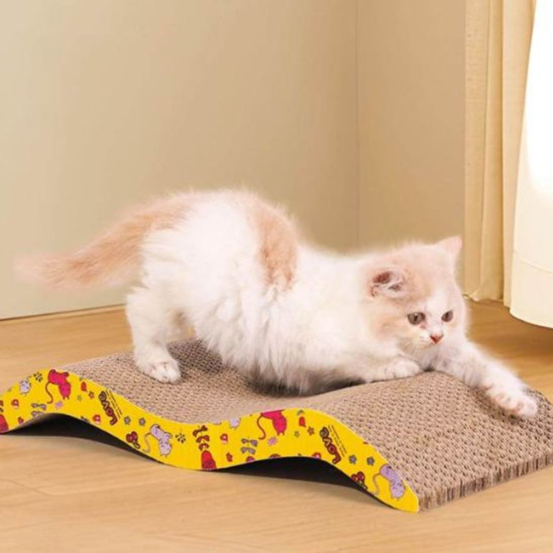 griffoir-chat-etirement