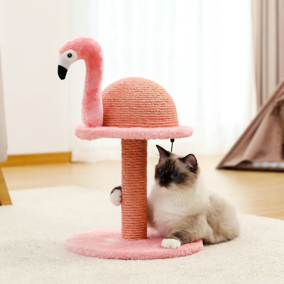 griffoir-chat-flammant