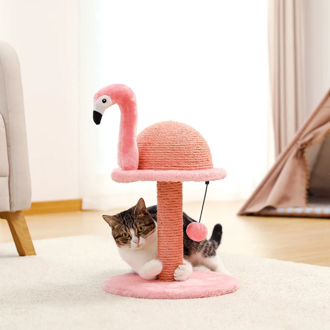 griffoir-chat-griffe