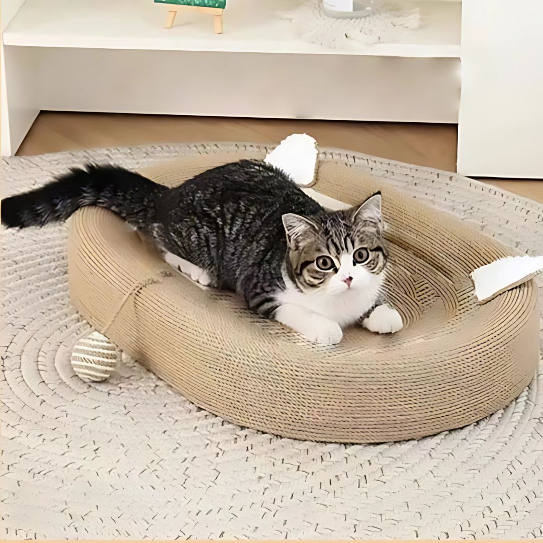 griffoir-chat-ludique