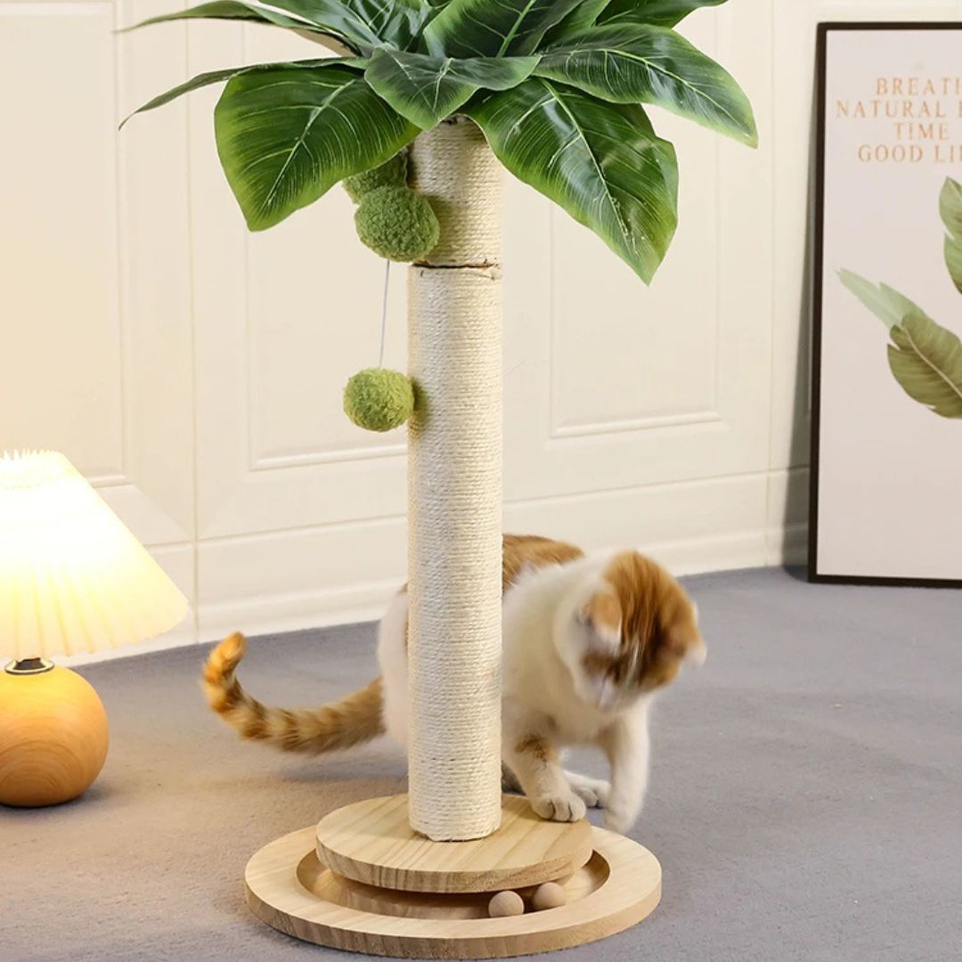 griffoir-chat-stimulant