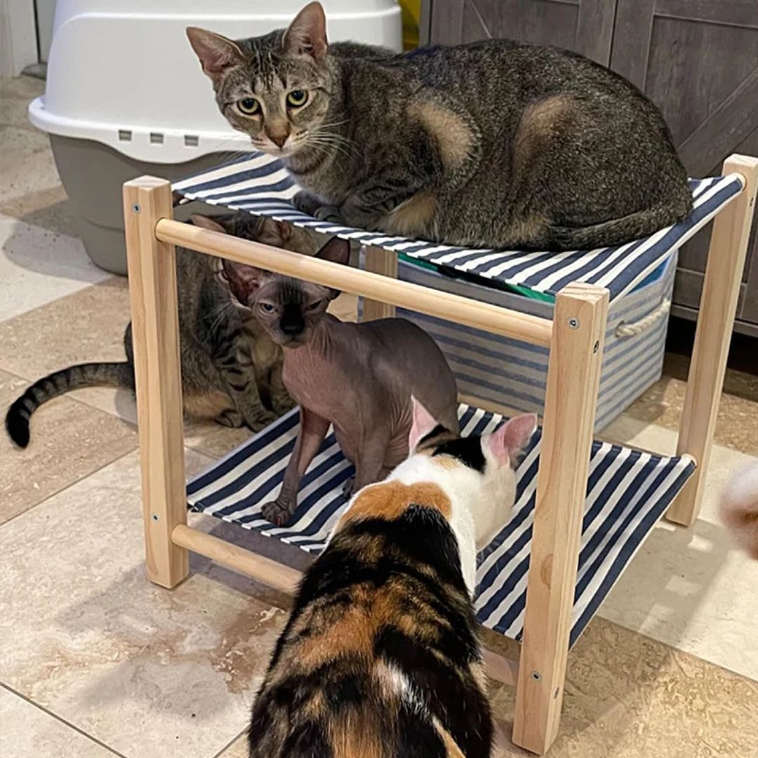 hamac-pour-chat-solide