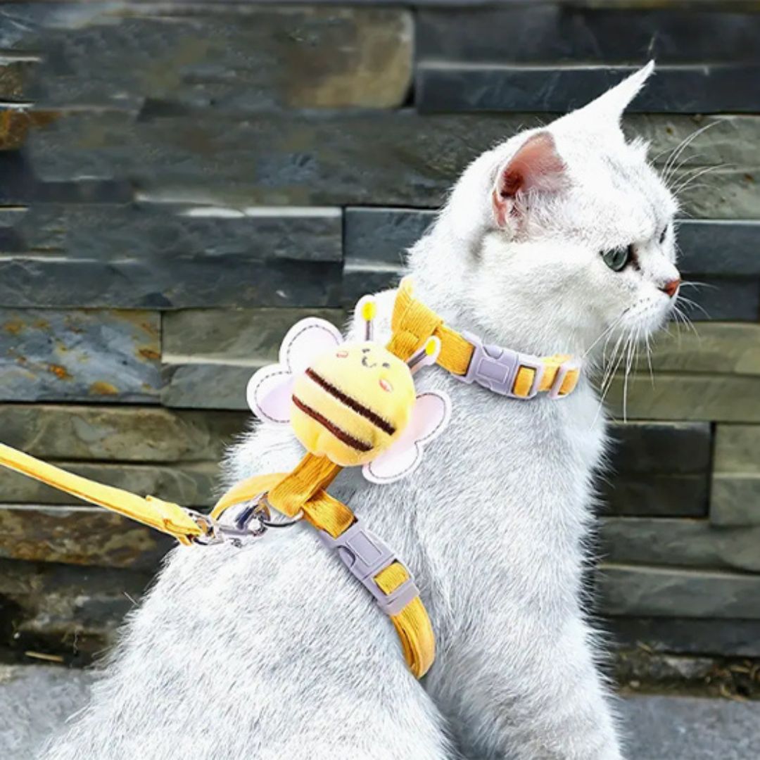 harnais-pour-chat-abeille