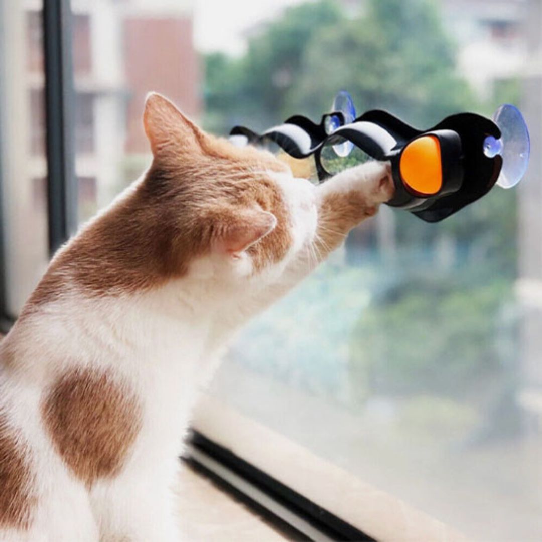 jouet-chat-instinct